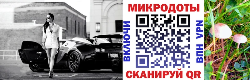 что такое наркотик  Сельцо  Галлюциногенные грибы мицелий 